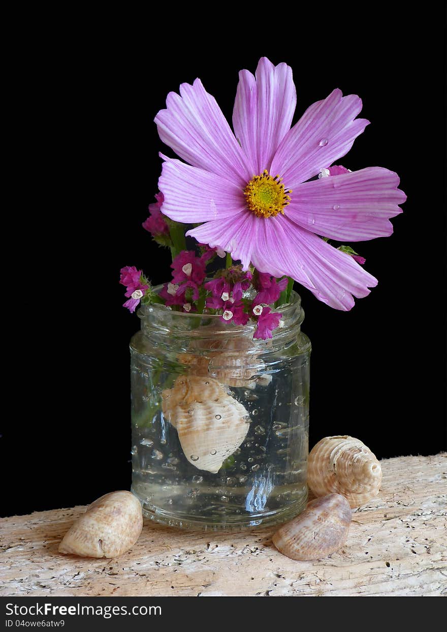 A Simple Arrangement of Flowers in a Jar. A Simple Arrangement of Flowers in a Jar