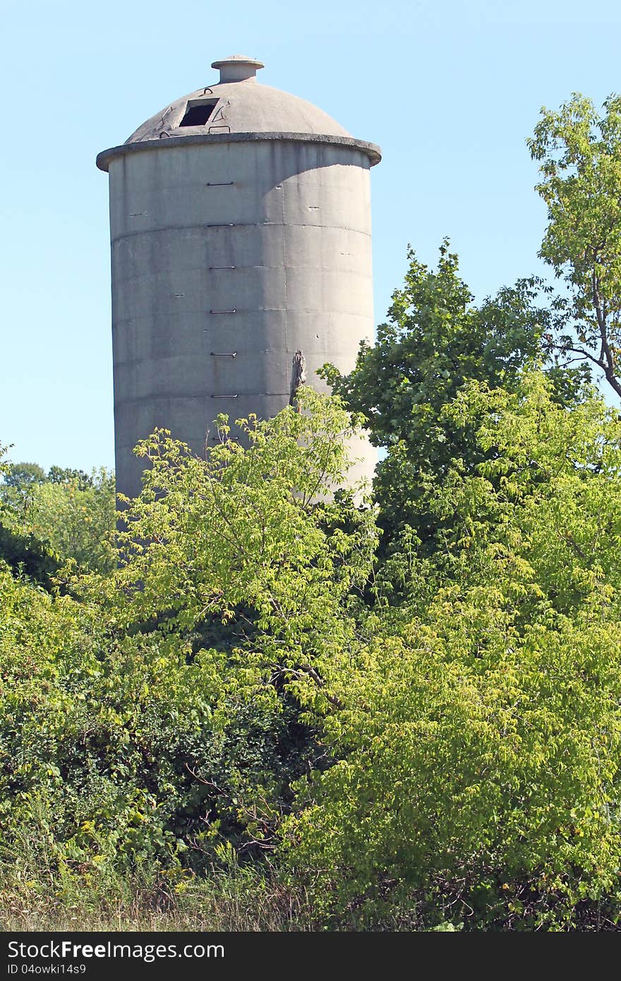 An old grain silo, unused and hidden by trees. Photo taken Aug 27, 2012. An old grain silo, unused and hidden by trees. Photo taken Aug 27, 2012.