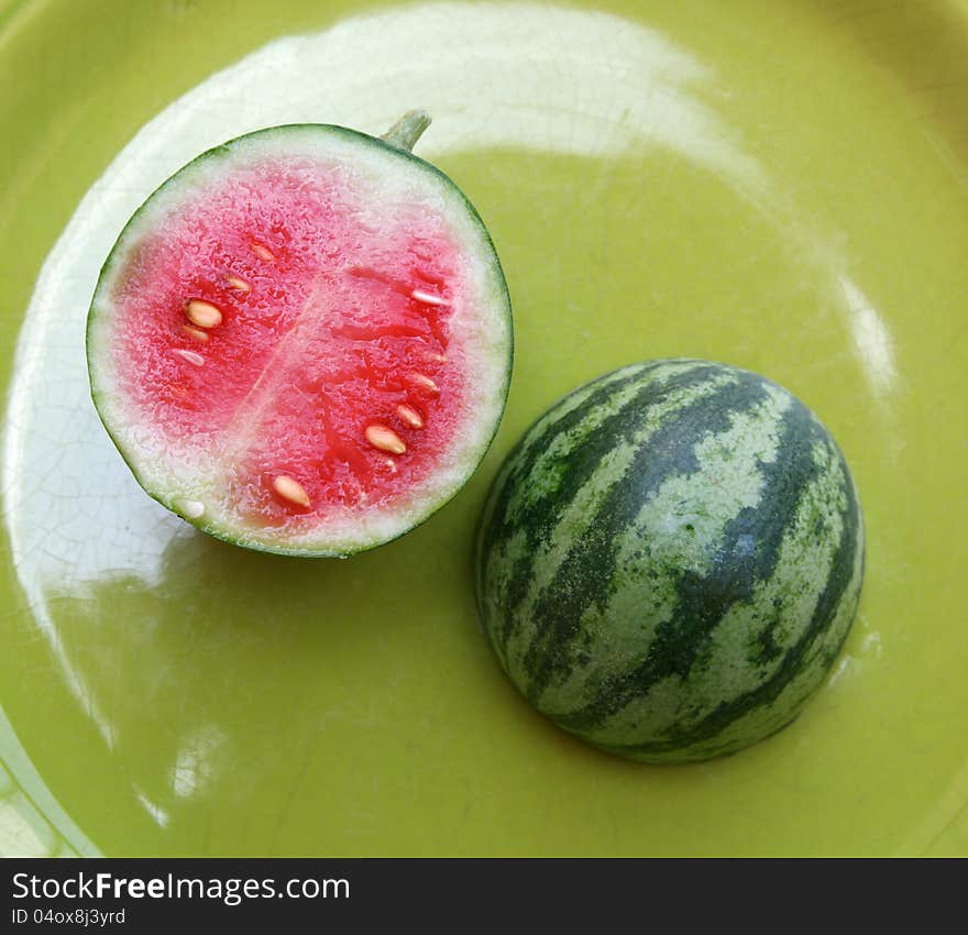 Watermelon bonsai