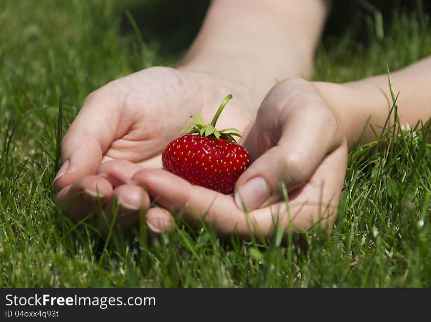 Appetizing strawberry in hands