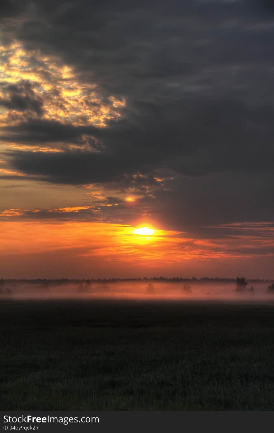 Dawn. Meadow. Fog.