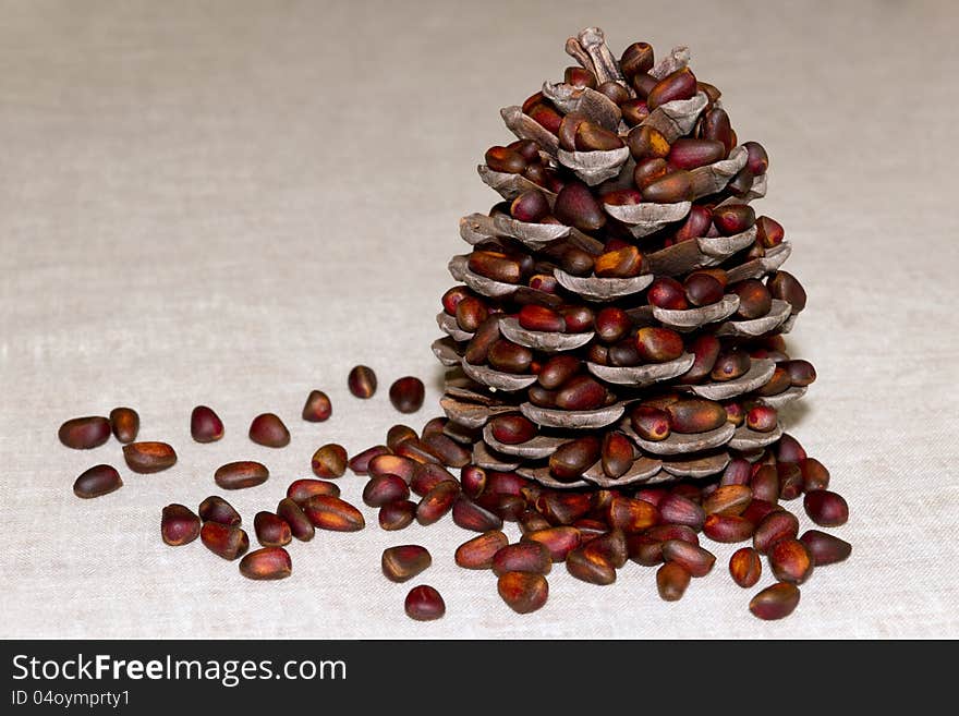 Pine cone with pine nuts on canvas