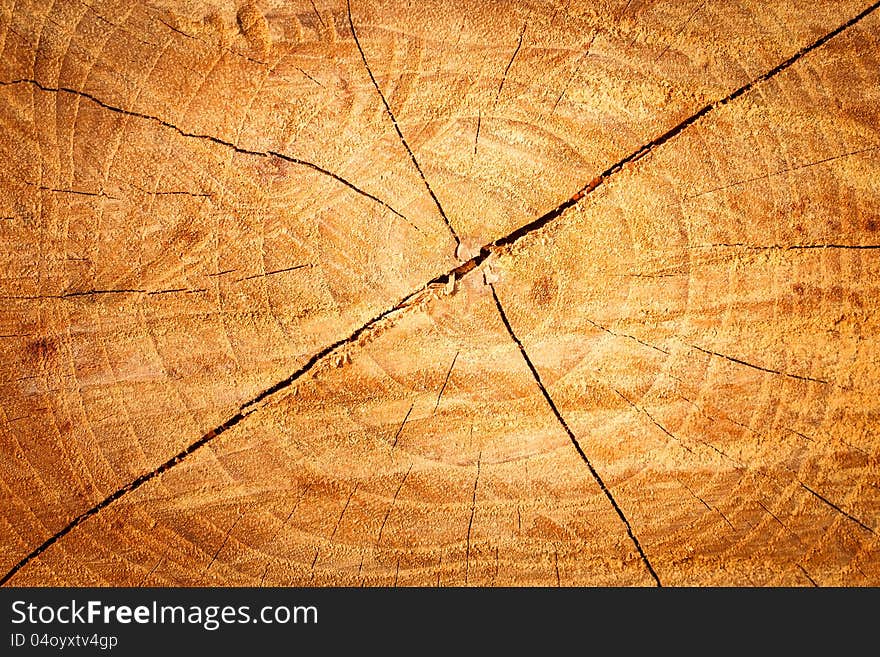 Wooden Texture Background