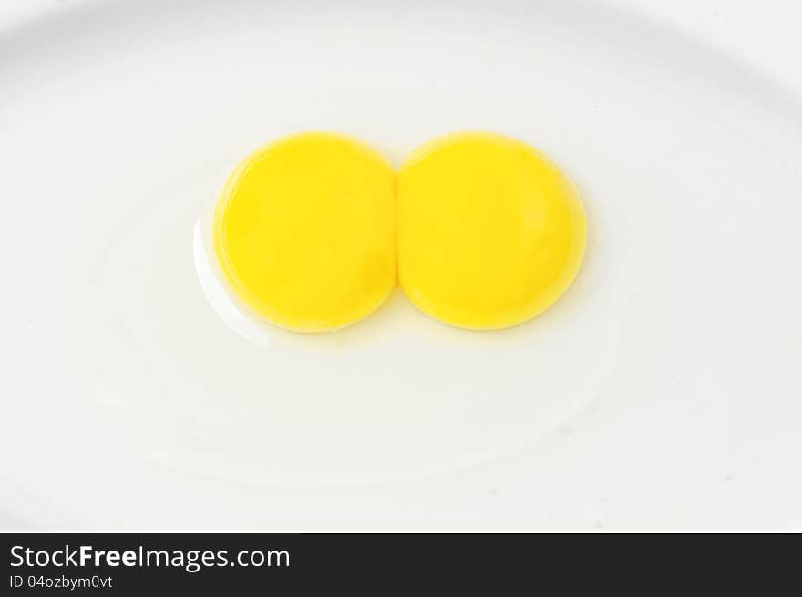 Portrait of double yolk derived from a single big egg.