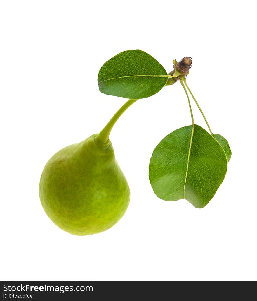 Pear with two leaves