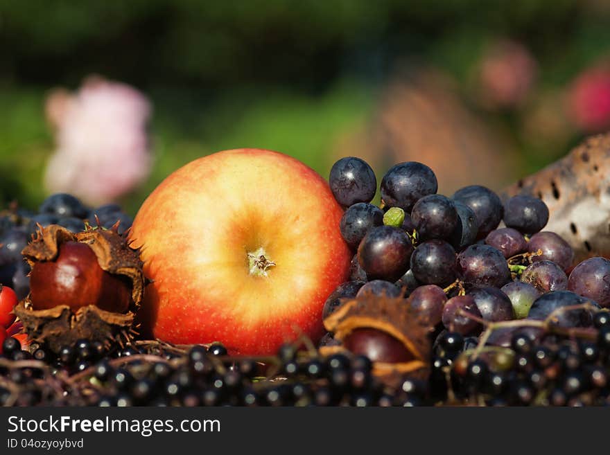 Apple grapes and wild fruits