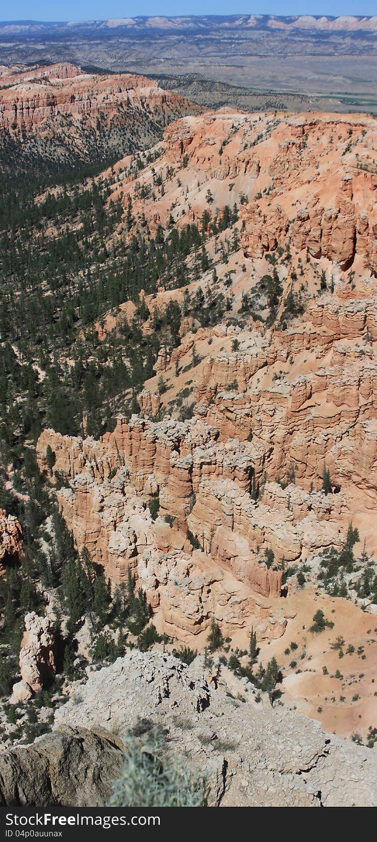 Vertical shot of Bryce Canyon panorama