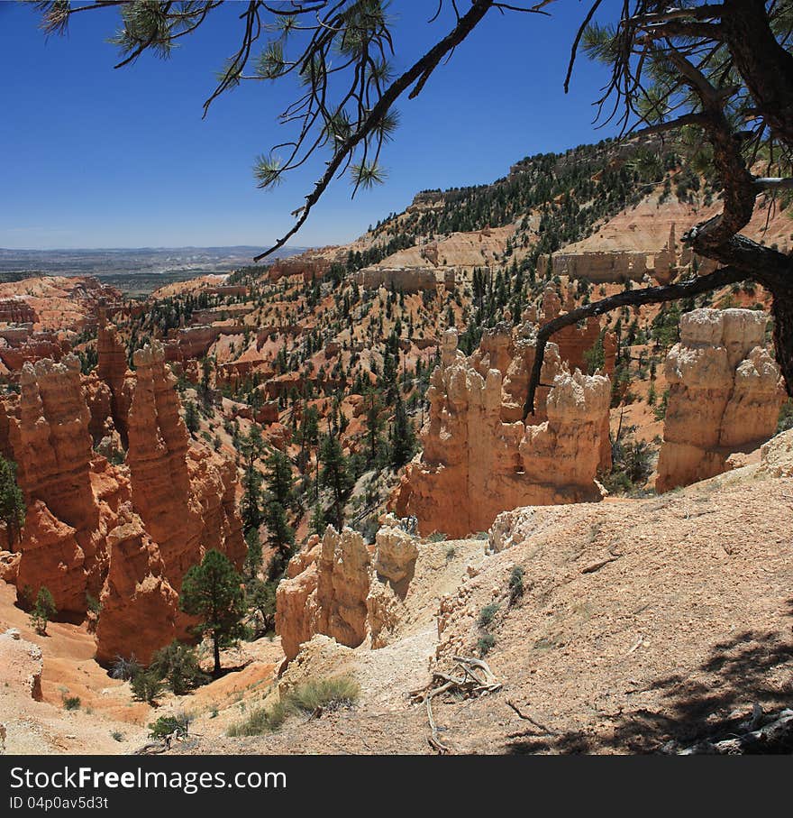 View of Bryce Canyon in southern Utah