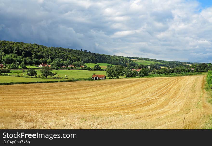 An English Rural Landscape with field of golden wheat stubble. An English Rural Landscape with field of golden wheat stubble