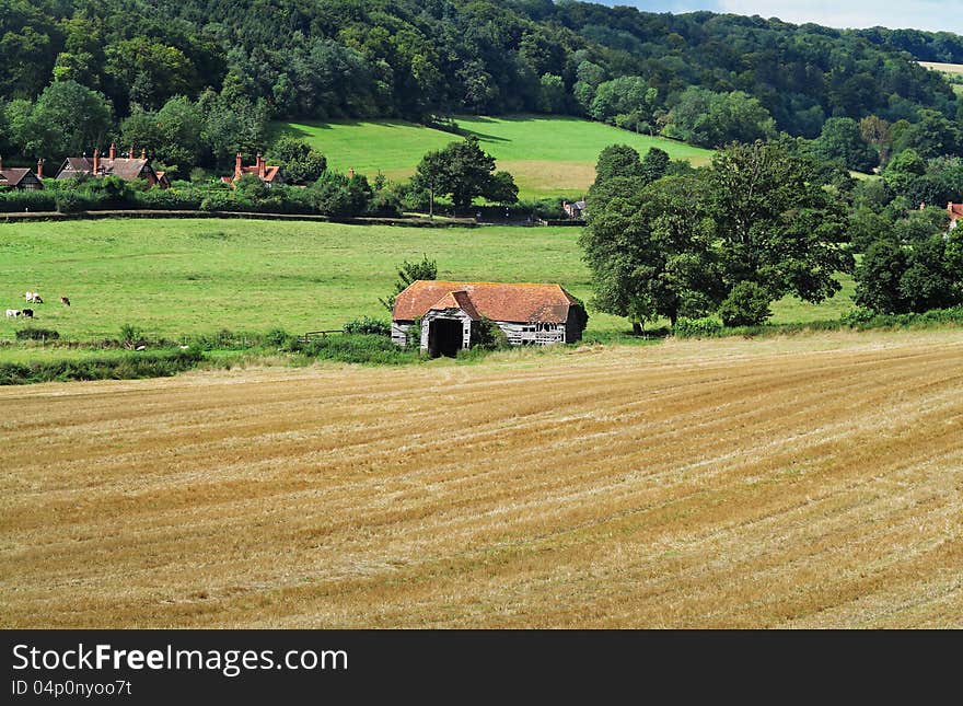 An English Rural Landscape with field of golden wheat stubble. An English Rural Landscape with field of golden wheat stubble