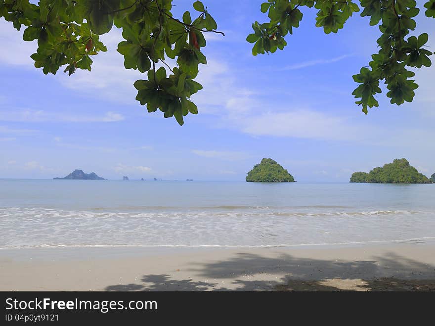 Tropical beach in the summer