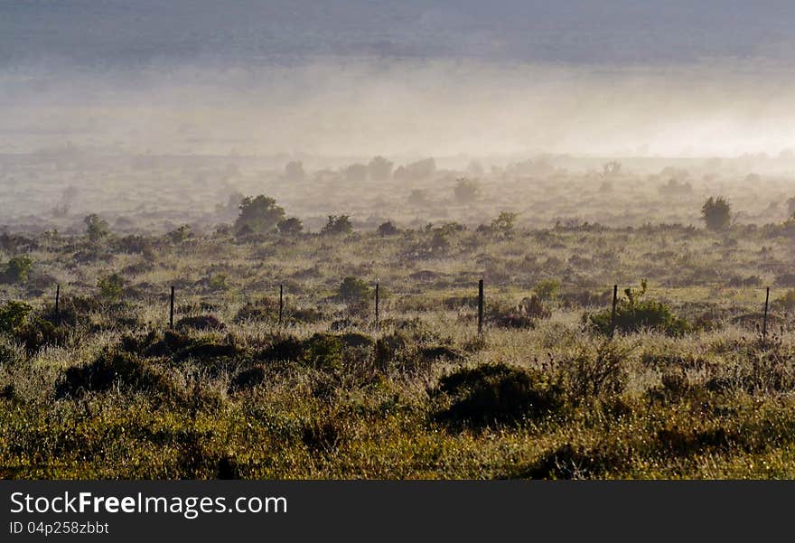 Fog Over Finebos