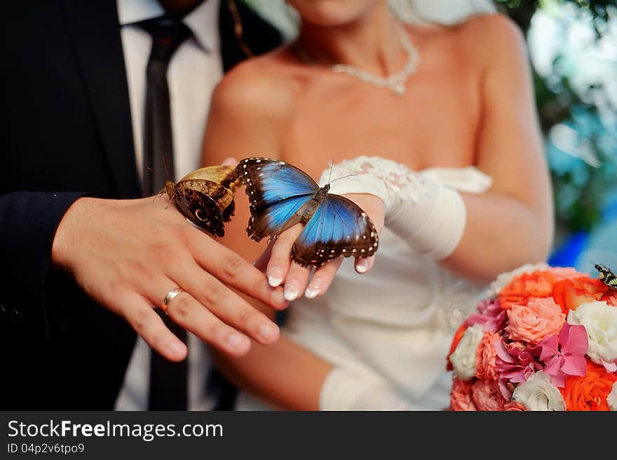 In the hands of the bride and groom sit big, beautiful bouquet of flowers and butterflies. In the hands of the bride and groom sit big, beautiful bouquet of flowers and butterflies