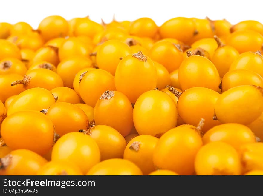 Buckthorn Berries