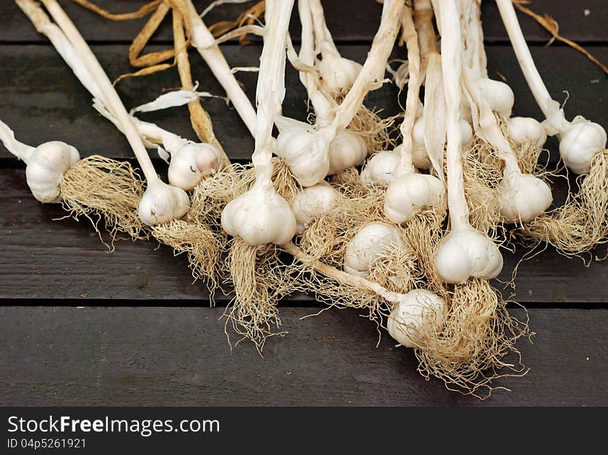 Garlic organic heads dried in shed brought out onto table ready for braiding. Garlic organic heads dried in shed brought out onto table ready for braiding.