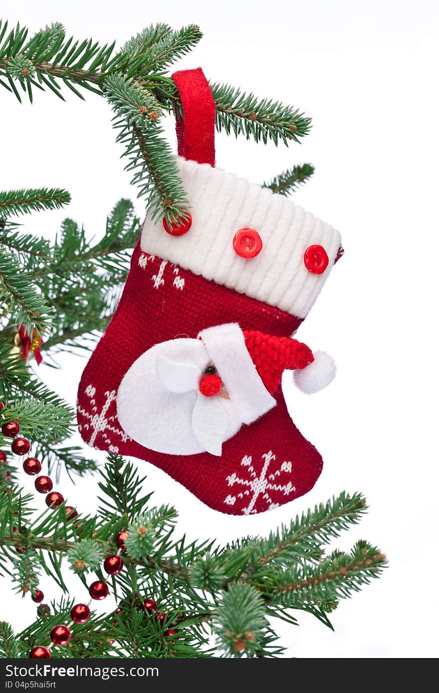 Christmas sock with Santa Claus on on fir branch. White background.