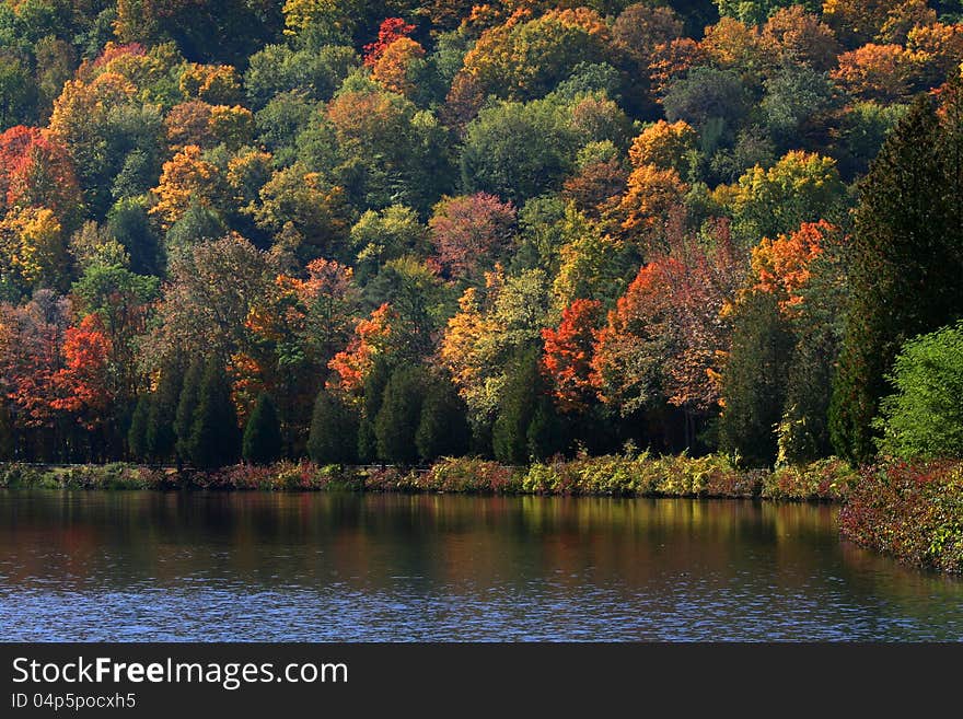 Allegheny state park in New York state