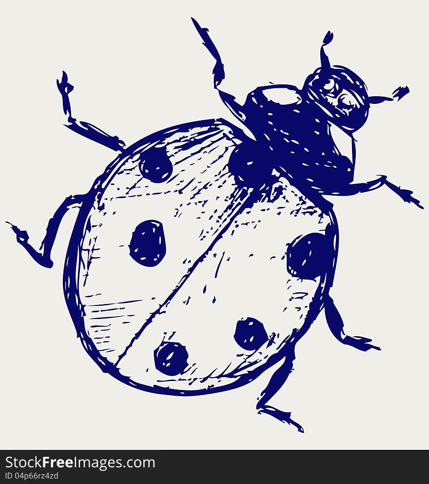 Ladybug sketch. Doodle style. Vector