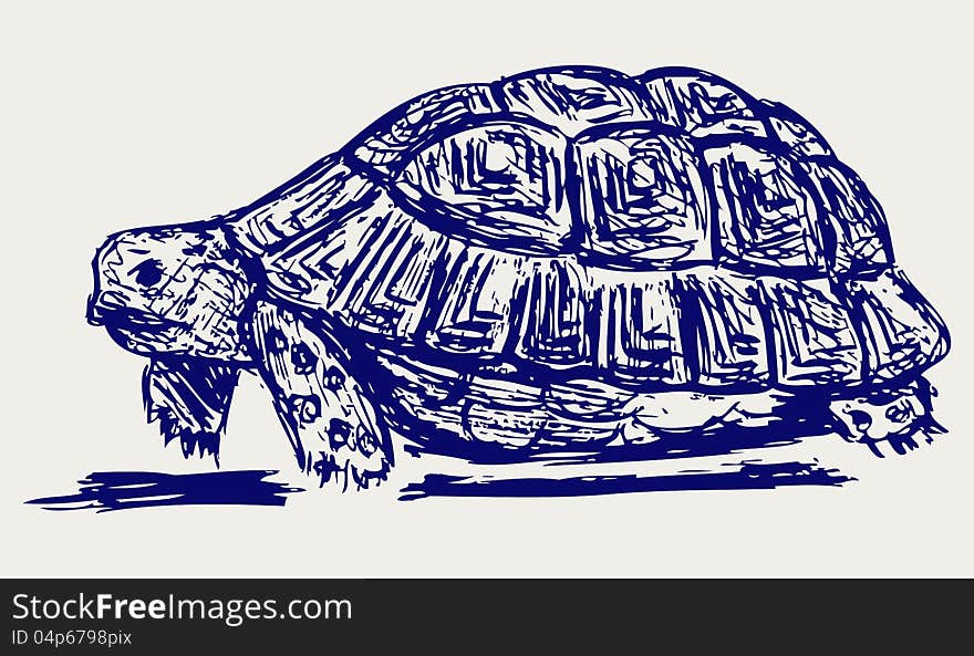 Ear tortoise. Doodle style. Vector