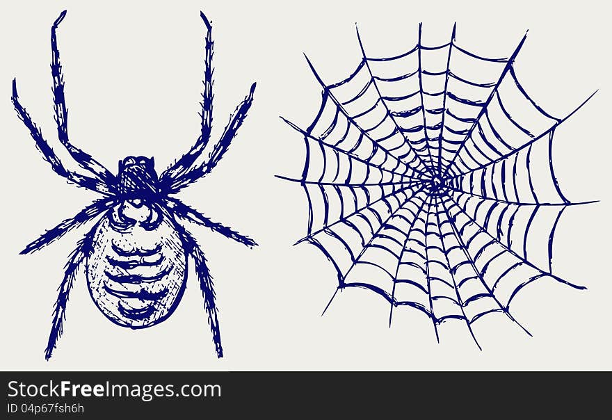 Spider and cobweb. Doodle style. Vector