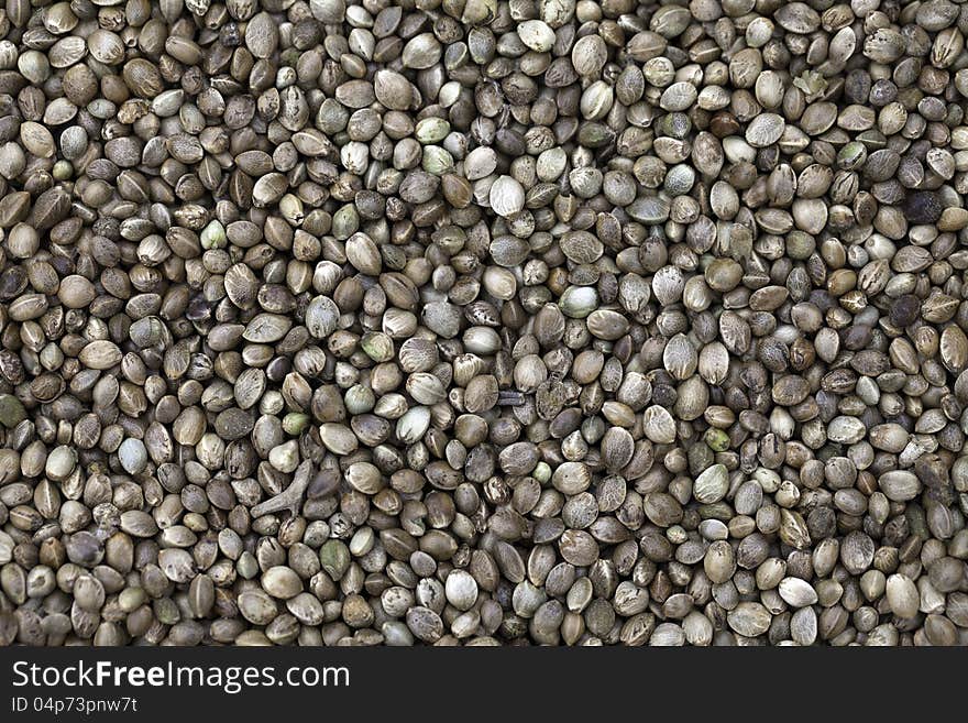 Vegetable seeds used for bird feeding.