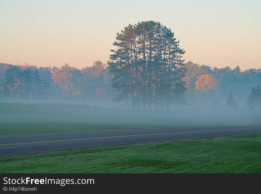 Autumn morning landscape with trees and road in a field. Autumn morning landscape with trees and road in a field.