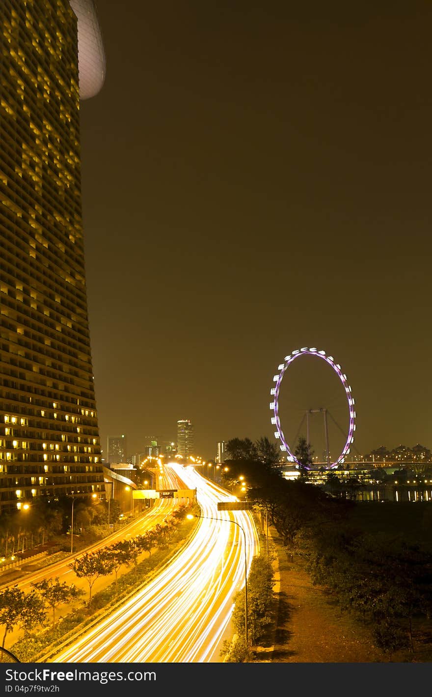 Night view of Marina Bay Sands and Singapore eye