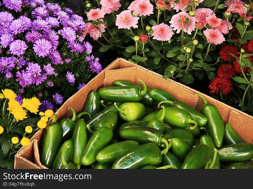 Jalapeno Peppers And Flowers