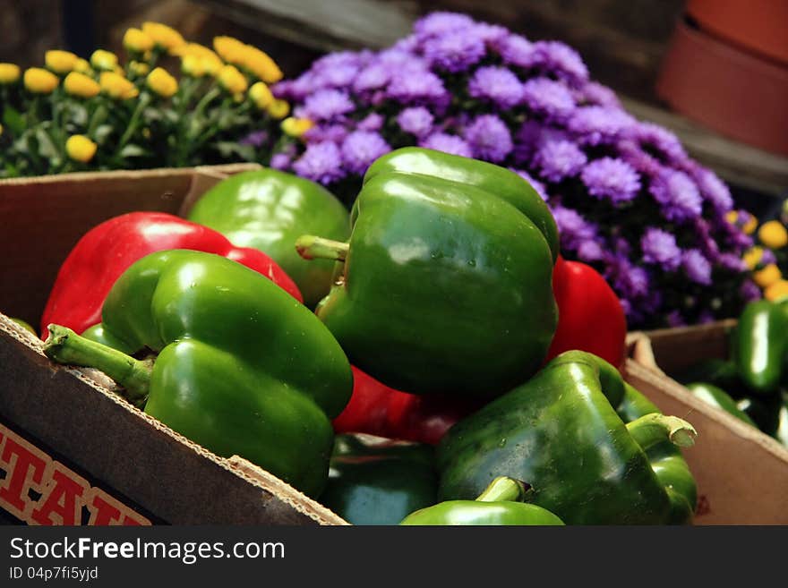 Large green & red bell peppers at tailgate market. Large green & red bell peppers at tailgate market