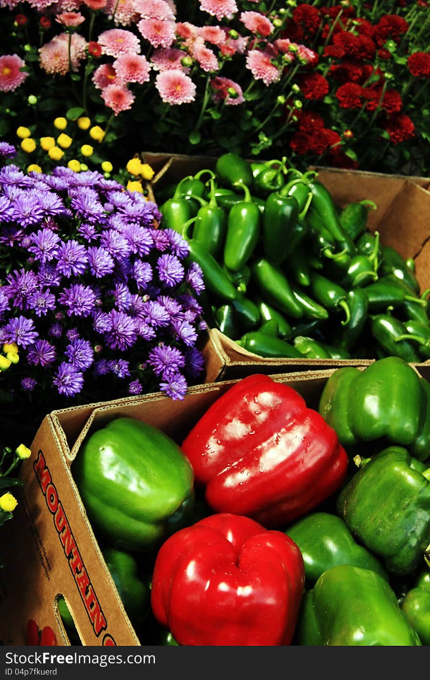 Green & red bell peppers and jalapenos & flowers at farmers market. Green & red bell peppers and jalapenos & flowers at farmers market