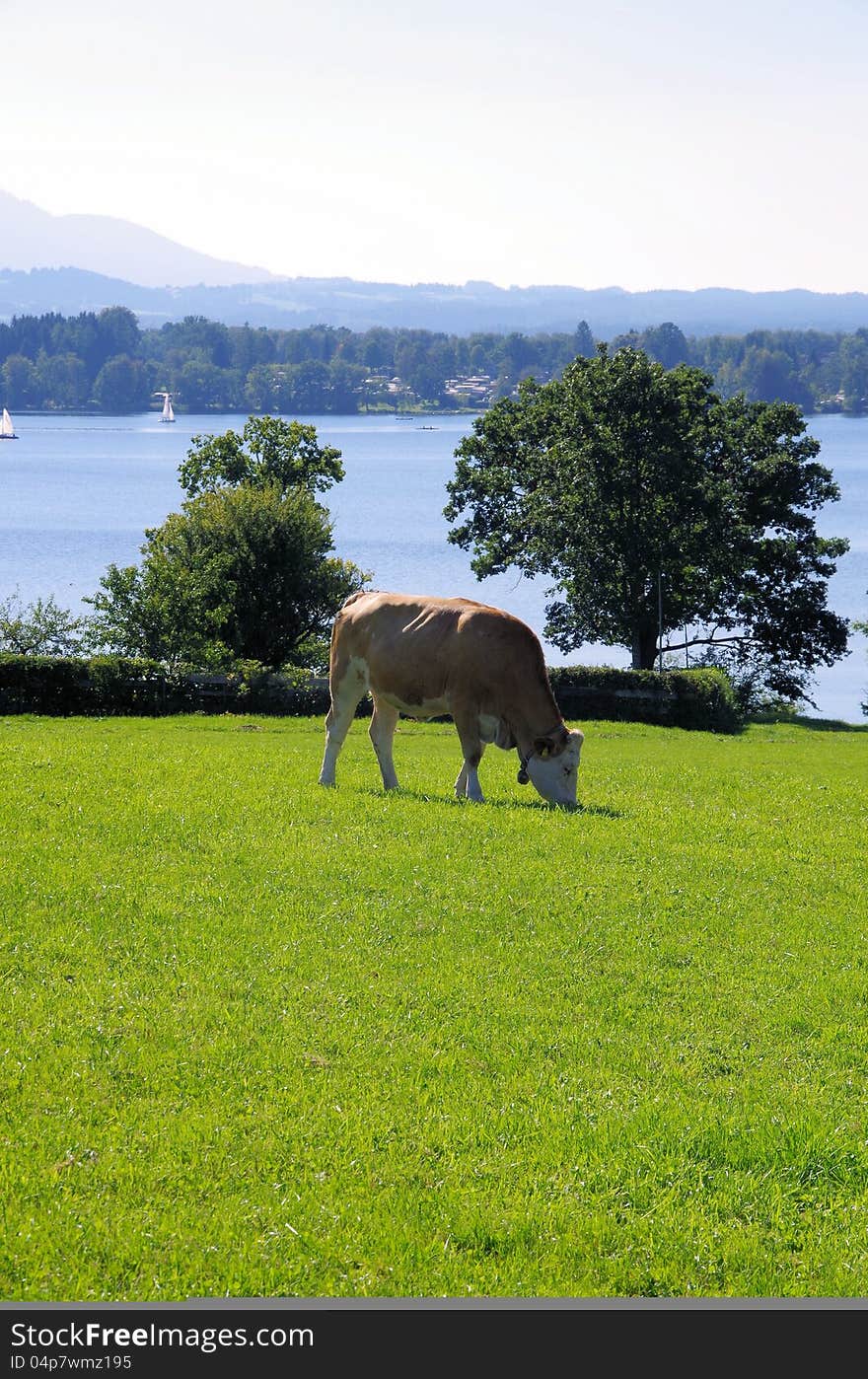 Beautiful summer day in the Bavarian Alps, Germany. Beautiful summer day in the Bavarian Alps, Germany