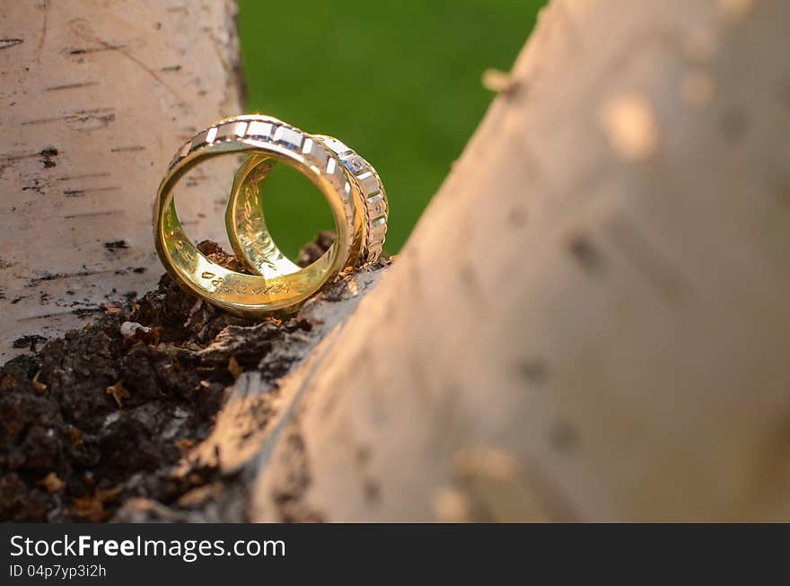 Wedding Rings on a tree