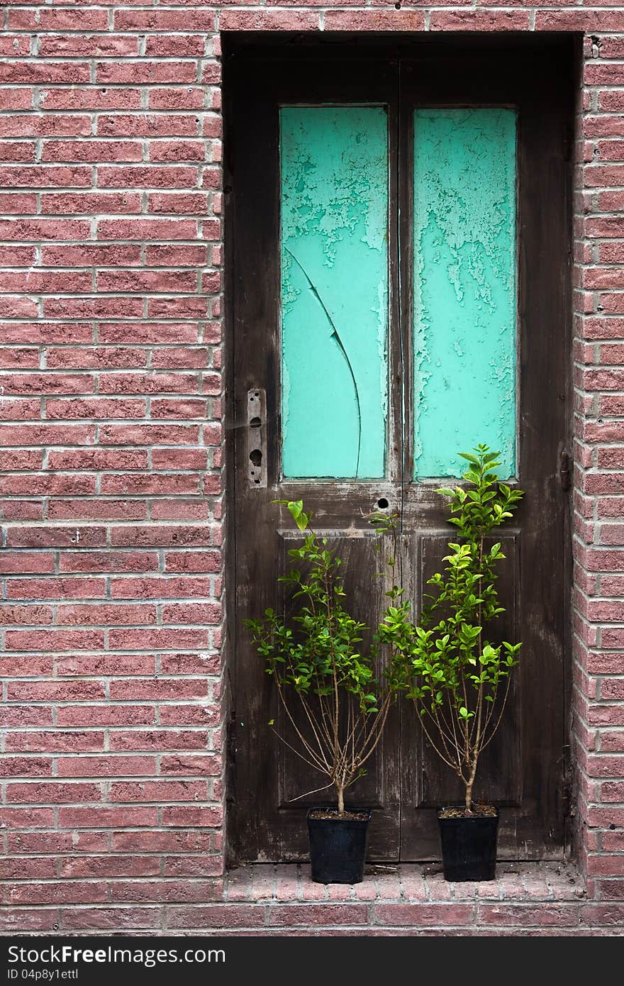 Damaged door in an abandoned house with plant pots in front of it