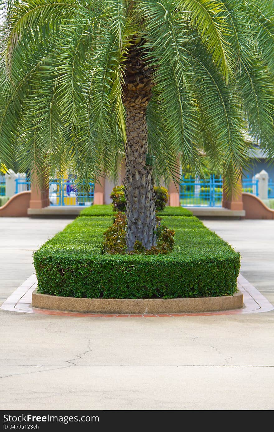 Topiary and palm trees on the pathway in the park. Topiary and palm trees on the pathway in the park