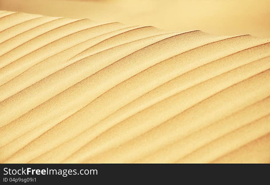 Sand dune, close up view