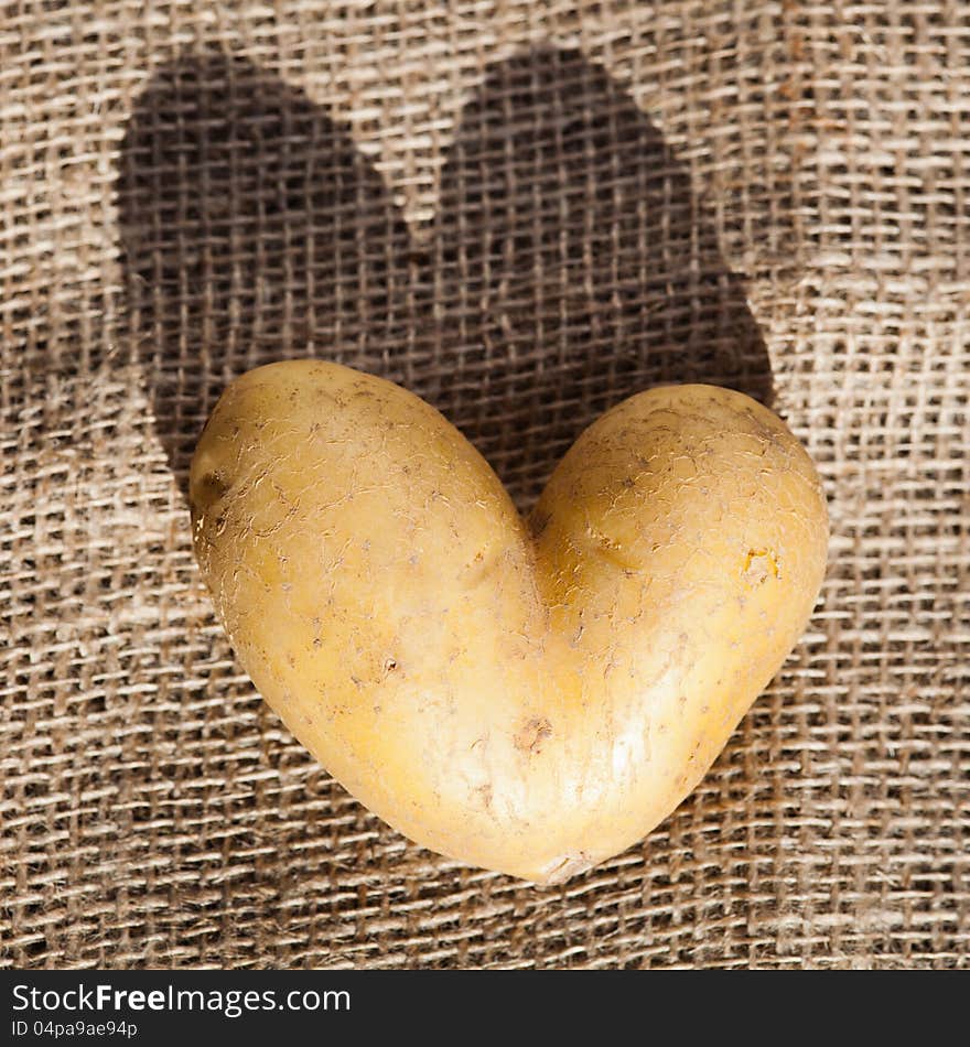 Heart shaped potato lies on hessian. Heart shaped potato lies on hessian