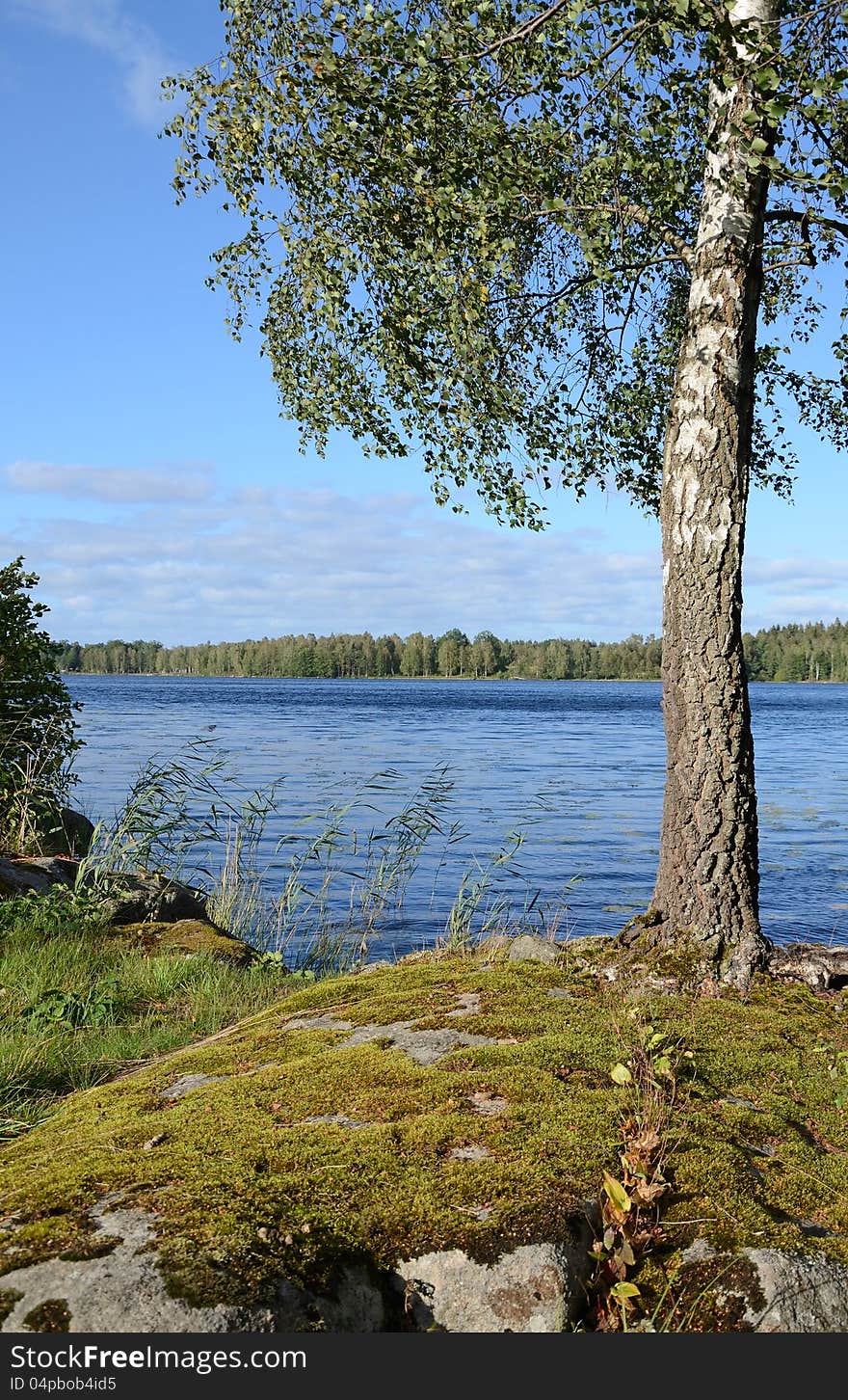 Typical Swedish vertical landscape near the lake. Typical Swedish vertical landscape near the lake