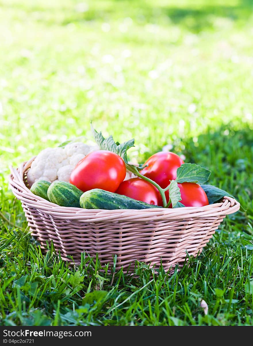 Vegetables in basket