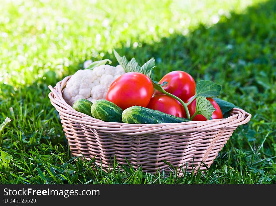 Vegetables in basket