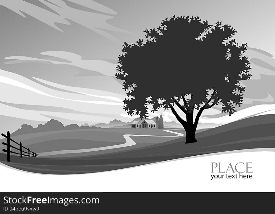 Abstract Tree B/W  Background - Stylized