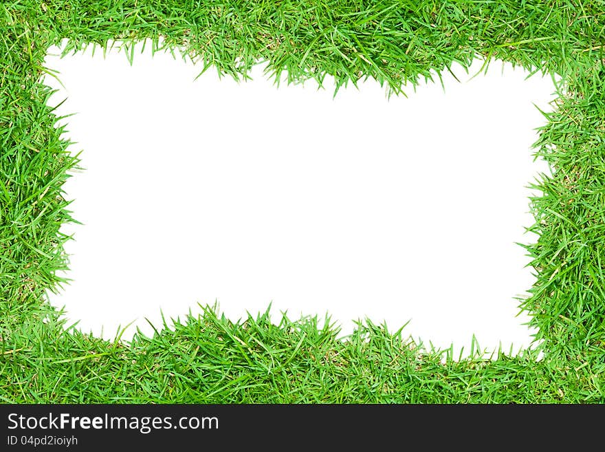 Grass frame on white background. Grass frame on white background