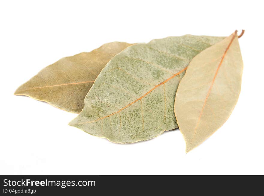 Three dried bay (laurel) leaves on a white background. Three dried bay (laurel) leaves on a white background