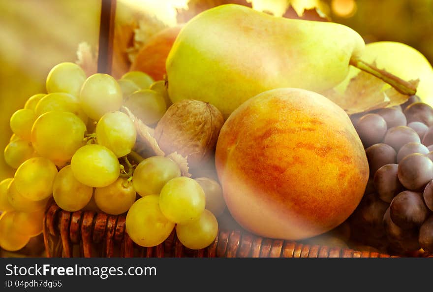 Organic Fruits - Autumn Fruits