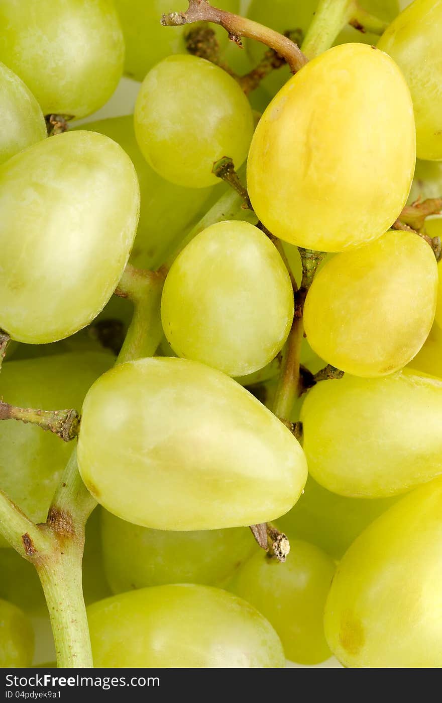 Grapes background