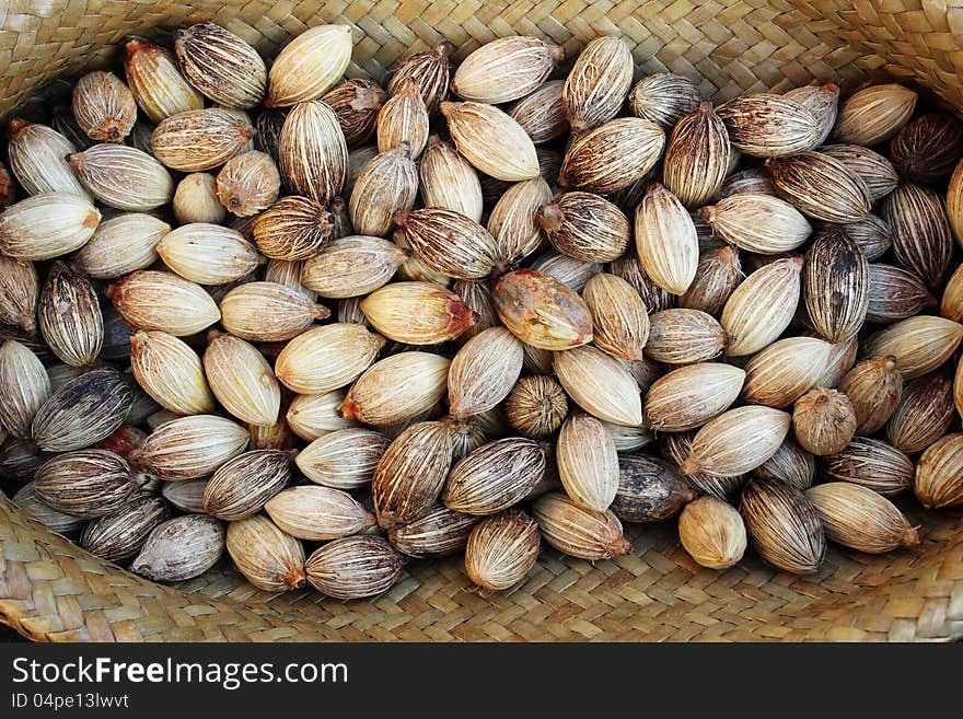 Oil palm seeds. It is raw materials for making oil. This picture is toy for kid in school. Oil palm seeds. It is raw materials for making oil. This picture is toy for kid in school