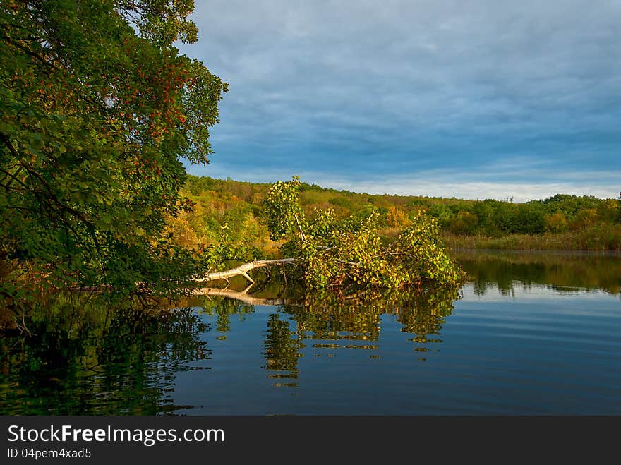 Landscape With Tree