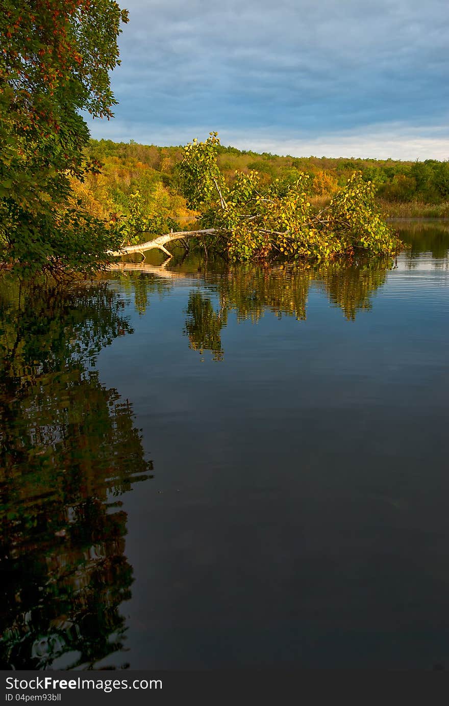 Landscape with tree in water