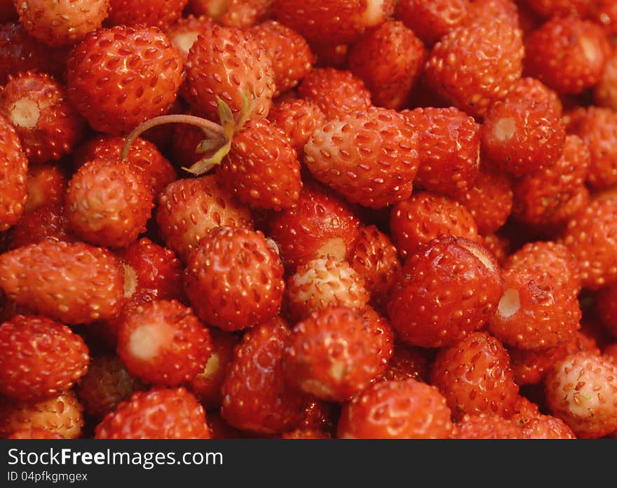 Many berries juicy strawberries as a background