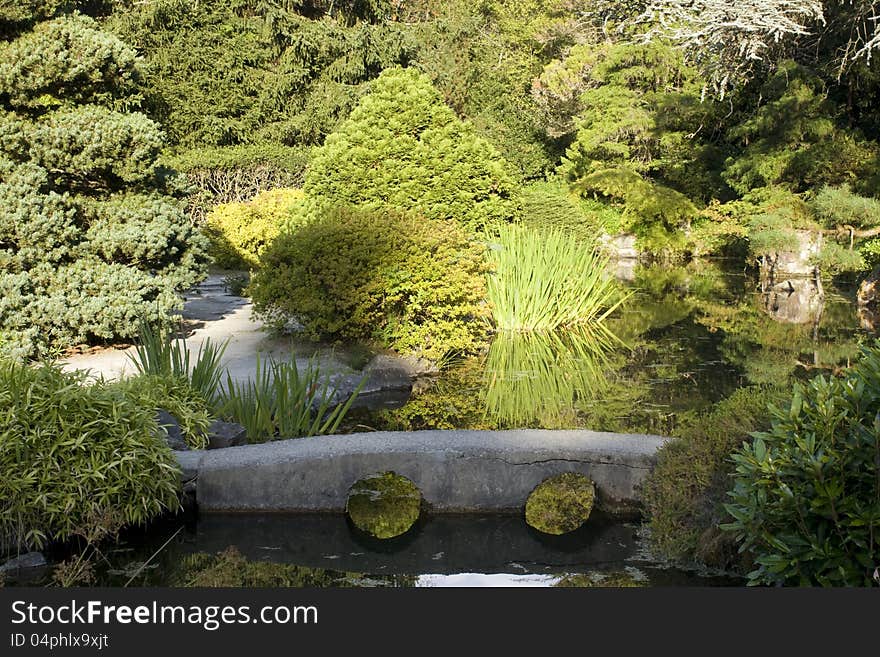 A garden with beautiful reflection of the lush greenery and mini bridge. A garden with beautiful reflection of the lush greenery and mini bridge.