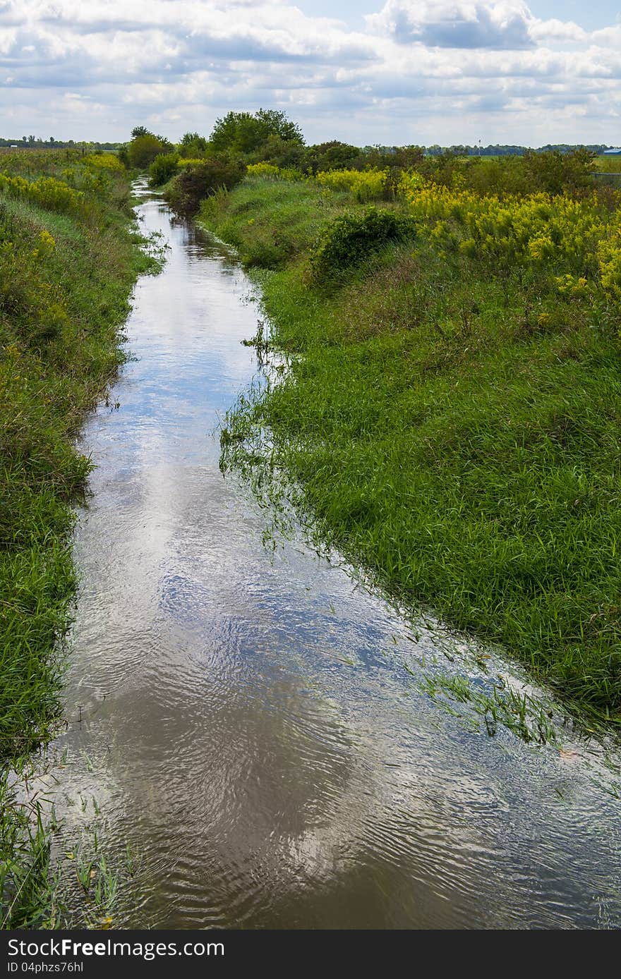 Fresh water stream in nature. Fresh water stream in nature